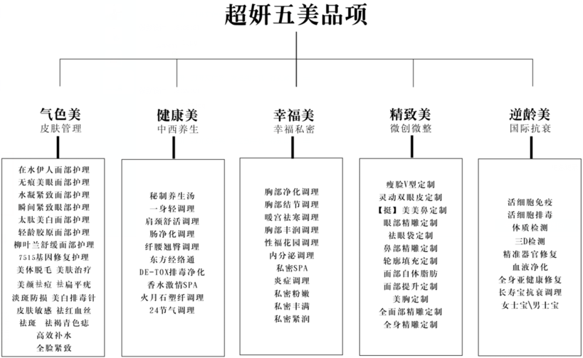 美容品牌戰(zhàn)略,美容品牌戰(zhàn)略案例,超妍美容品牌戰(zhàn)略